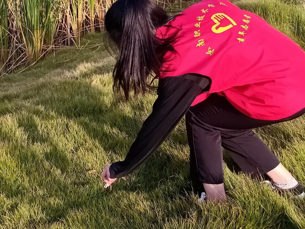 球盟会官网